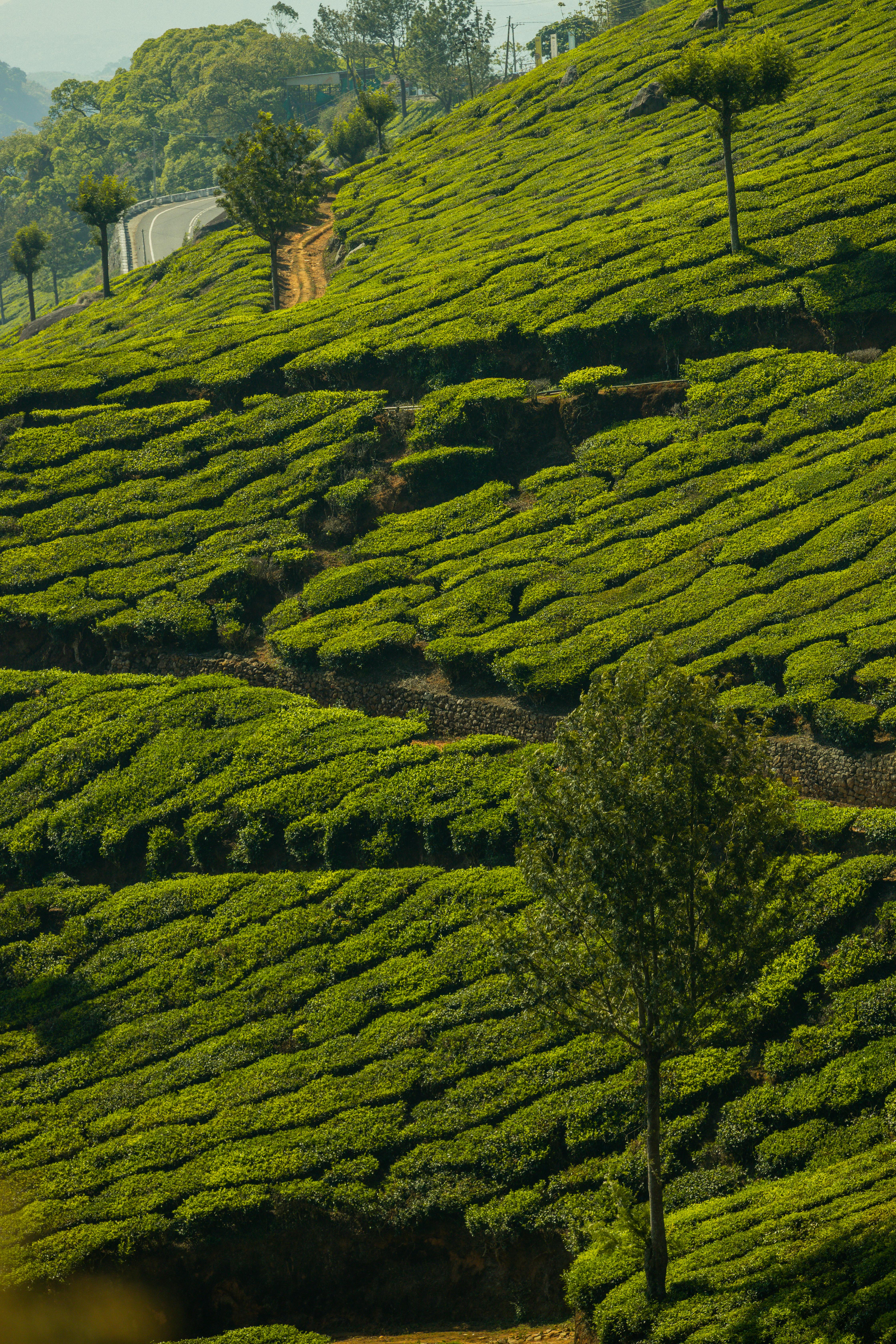 Climate Finance Webinar Series