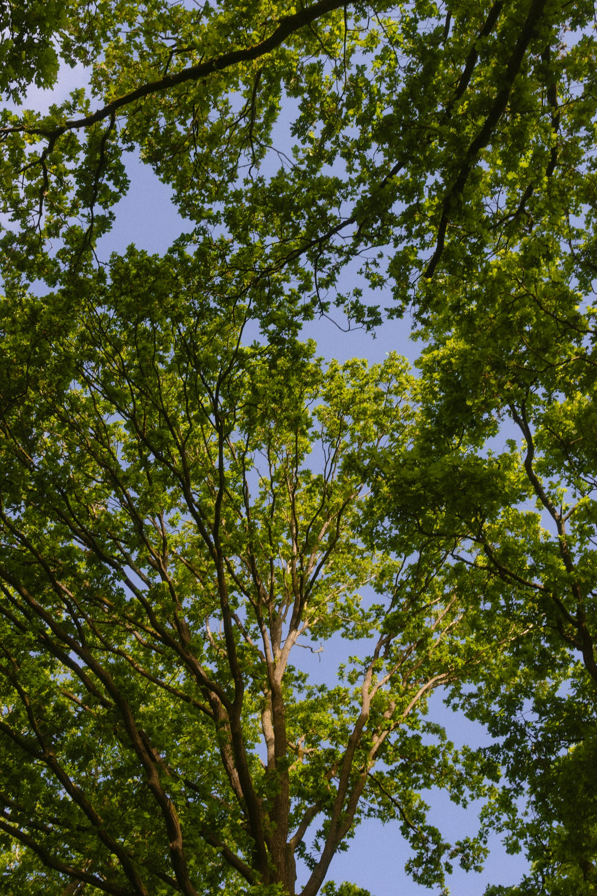 Kenya Climate Policy Summit 2025